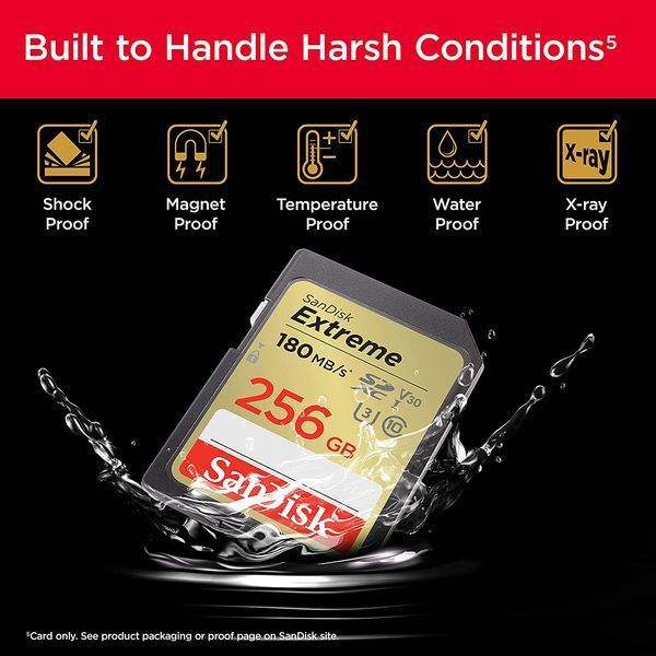 SanDisk 256 GB SDXC UHS-I U3 V30 Extreme (SDSDXVV-256G-GNCIN) 342752 фото