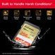 SanDisk 256 GB SDXC UHS-I U3 V30 Extreme (SDSDXVV-256G-GNCIN) 342752 фото 4
