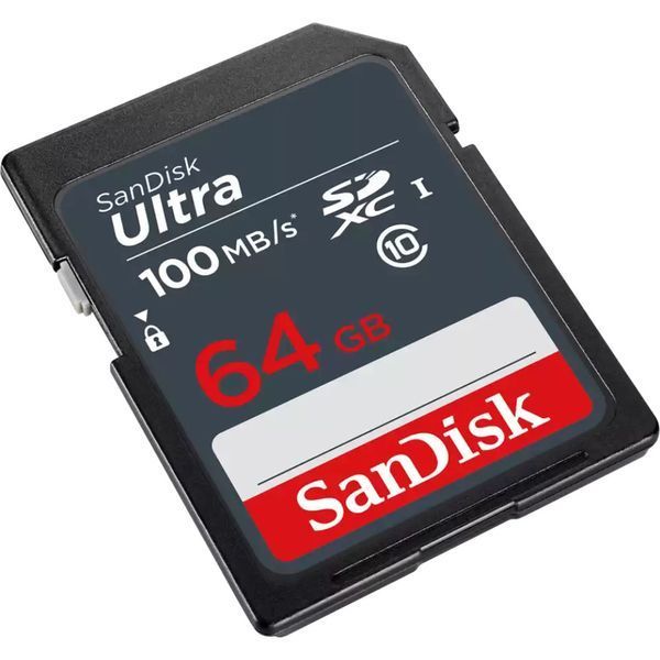 SanDisk 64 GB SDXC UHS-I Ultra (SDSDUNR-064G-GN3IN) 346658 фото