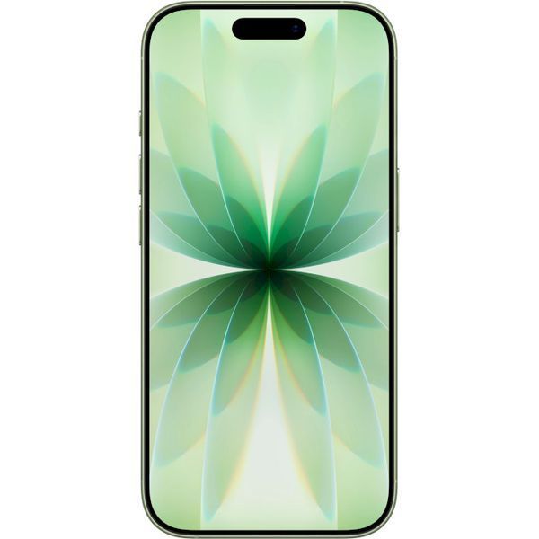 Apple iPhone 17 256 ГБ Sage MG6N4 фото