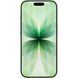 Apple iPhone 17 256 ГБ Sage MG6N4 фото 3
