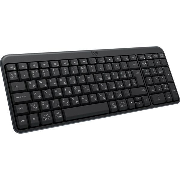 Logitech K250 Graphite (920-013822) 142289 фото
