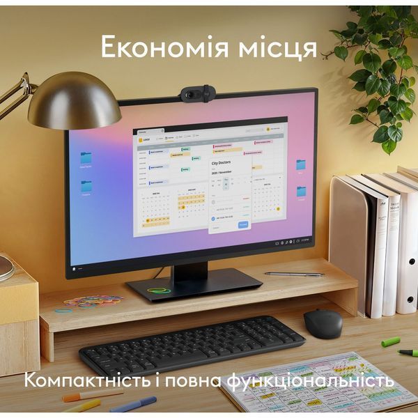 Logitech K250 Graphite (920-013822) 142289 фото