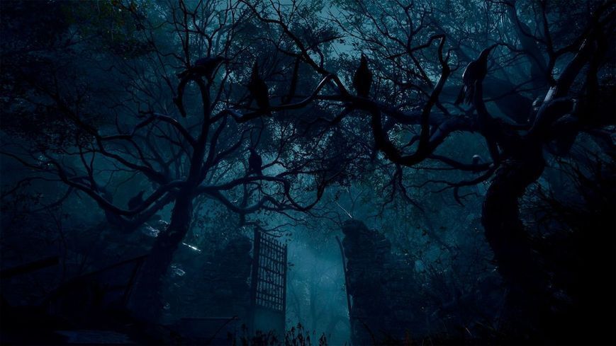 Resident Evil 4 Remake PS5 ENG (101474) 101474 фото