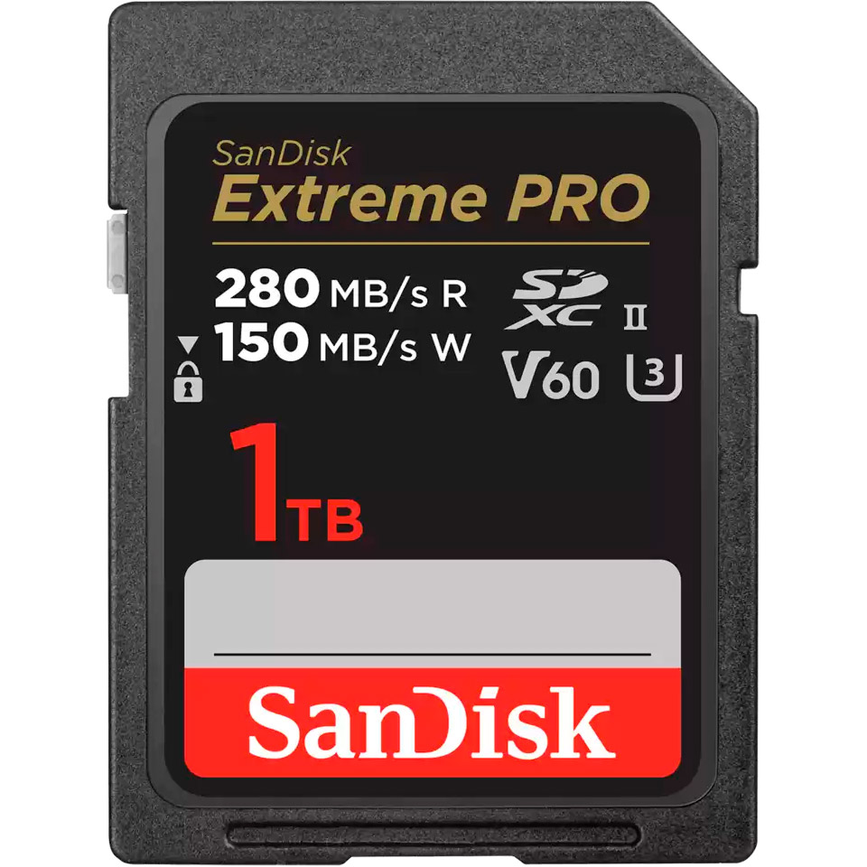 SanDisk 1 TB SDXC Extreme Pro UHS-II U3 V60 Class 10 (SDSDXEP-1T00-GN4IN)