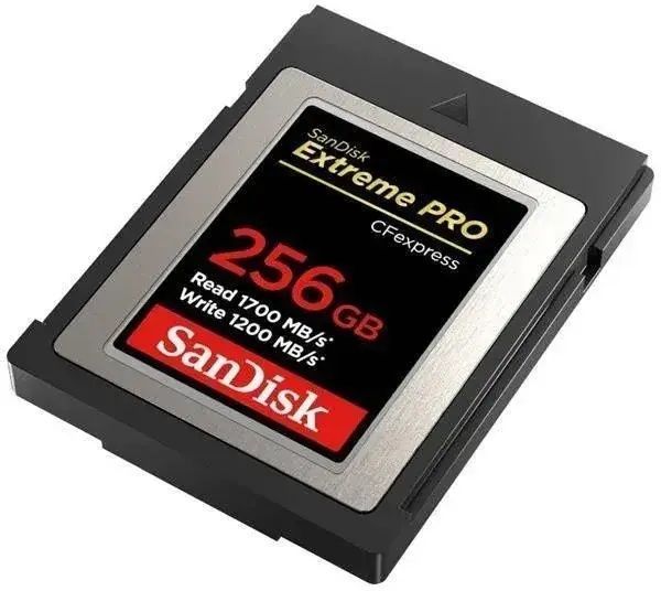 SanDisk 256 GB Extreme PRO CFexpress Type B (SDCFE-256G-GN4IN) 386853 фото
