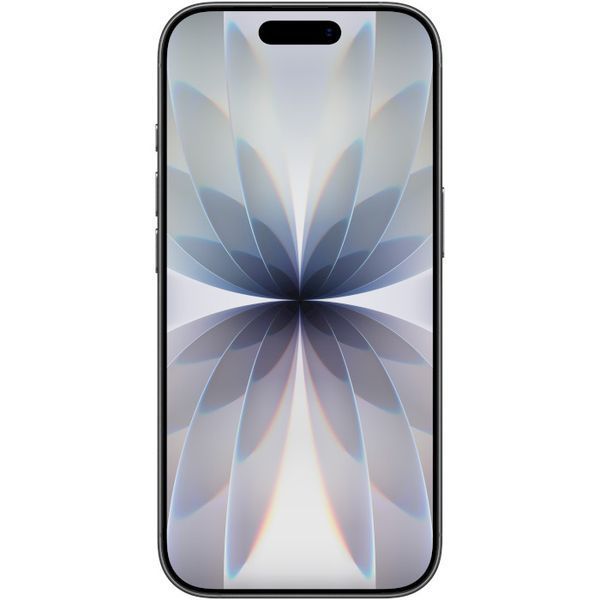 Apple iPhone 17 512 ГБ Black MG6P4 фото