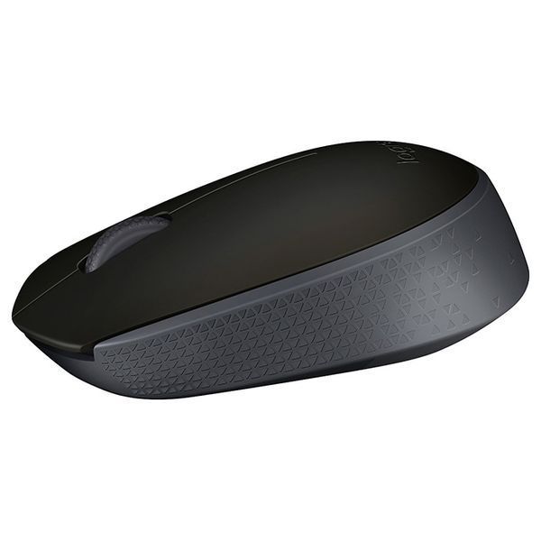 Logitech M171 Black (910-00442) 141111 фото