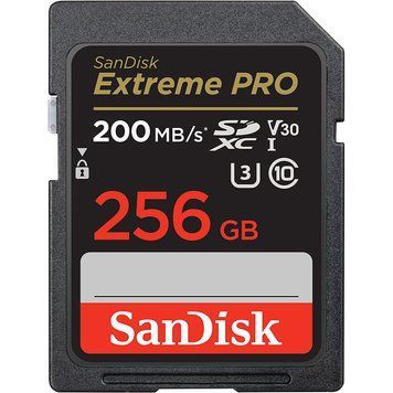 SanDisk 256 GB SDXC UHS-I U3 V30 Extreme PRO (SDSDXXD-256G-GN4IN) 610385 фото