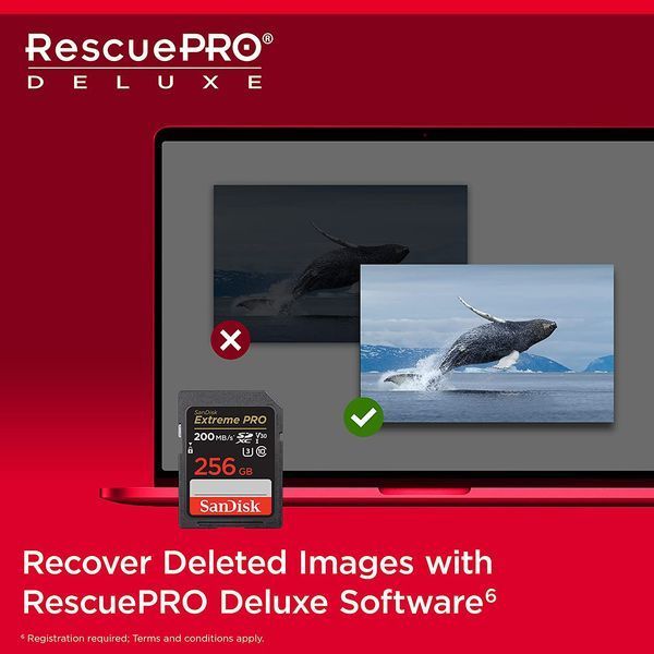 SanDisk 256 GB SDXC UHS-I U3 V30 Extreme PRO (SDSDXXD-256G-GN4IN) 610385 фото