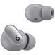 Навушники Beats Studio Buds + True Wireless Noise Canceling Earbuds - Cosmic Silver (MT2P3) MT2P3 фото 5
