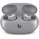 Навушники Beats Studio Buds + True Wireless Noise Canceling Earbuds - Cosmic Silver (MT2P3) MT2P3 фото 3