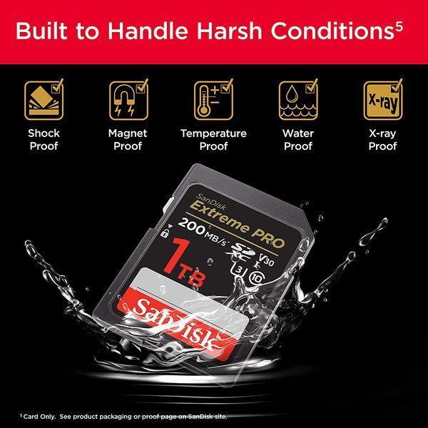 SanDisk 1 TB SDXC UHS-I U3 V30 Extreme PRO (SDSDXXD-1T00-GN4IN) 685726 фото