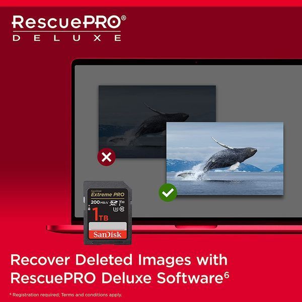 SanDisk 1 TB SDXC UHS-I U3 V30 Extreme PRO (SDSDXXD-1T00-GN4IN) 685726 фото