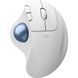 Logitech Ergo M575S Offwhite (910-007030) 315963 фото 1