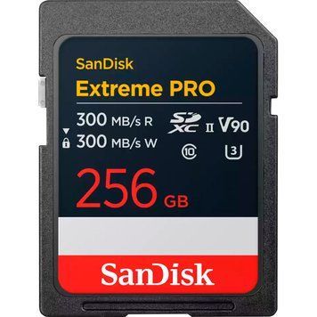 SanDisk 256 GB SDXC Extreme Pro (SDSDXDM-256G-GN4IN) 383758 фото