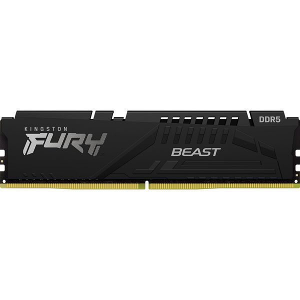 Kingston FURY 16 GB DDR5 5600 MHz FURY Beast (KF556C36BBE-16) 494857 фото