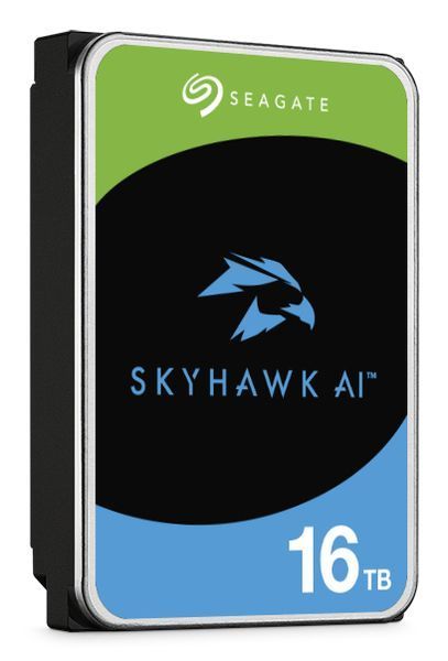 Seagate SkyHawk AI 16 TB (ST16000VE005) 451528 фото