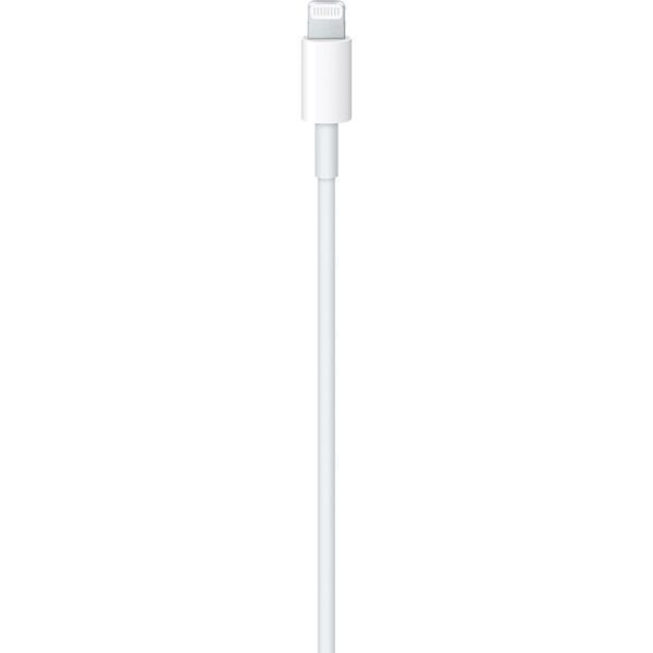 Apple USB-C Charge (MM093ZM/A) MM093 фото