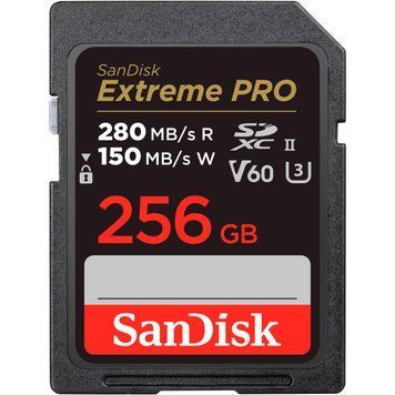 SanDisk 256 GB SDXC Extreme Pro UHS-II U3 V60 Class 10 (SDSDXEP-256G-GN4IN) 998482 фото