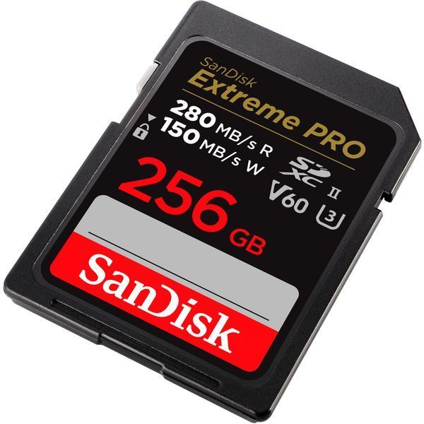 SanDisk 256 GB SDXC Extreme Pro UHS-II U3 V60 Class 10 (SDSDXEP-256G-GN4IN) 998482 фото