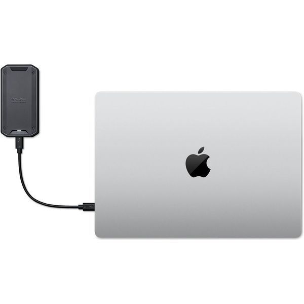 SanDisk Professional PRO-G40 4 TB (SDPS31H-004T-GBCAD) 796658 фото